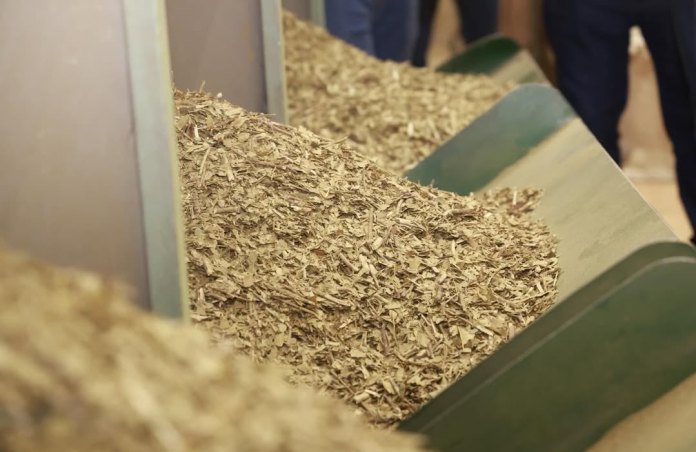 El stock actual en industrias estaría en unas 20.000 toneladas. Foto: Gentileza