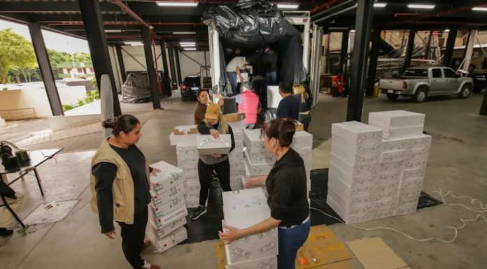 La Justicia Electoral acelera en los últimos días los envíos de los maletines electorales y máquinas de votación para las internas. Foto: TSJE La Justicia Electoral acelera en los últimos días los envíos de los maletines electorales y máquinas de votación para las internas. Foto: TSJE