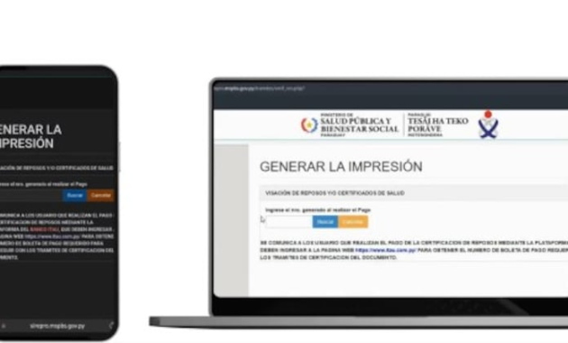 La visación digital ya se puede gestionar desde el celular o computadora. Foto: Captuta.