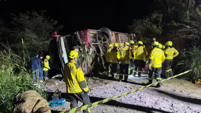 El colectivo habría perdido el control a causa de un problema con los frenos y cayó al barranco, informan medios de Brasil.Foto: Rede Peperi.