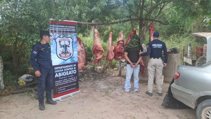 Tras el pesaje, se confirmó que la carga consistía en 180 kilogramos de carne vacuna. El detenido permanece a disposición del Ministerio Público, mientras prosiguen las investigaciones para determinar el origen de la carne y las circunstancias del presunto hecho de abigeato. Tras el pesaje, se confirmó que la carga consistía en 180 kilogramos de carne vacuna. El detenido permanece a disposición del Ministerio Público, mientras prosiguen las investigaciones para determinar el origen de la carne y las circunstancias del presunto hecho de abigeato.