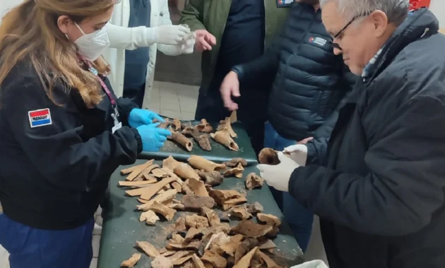 Un médico forense fue al lugar para realizar los procedimientos técnicos y científicos necesarios para el análisis de los restos.Foto: Gentileza.