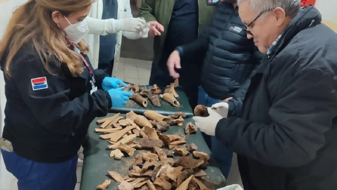 Un médico forense fue al lugar para realizar los procedimientos técnicos y científicos necesarios para el análisis de los restos.Foto: Gentileza.