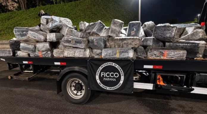 Dentro del camión hallaron varios paquetes de marihuana prensada. Foto: Policía Federal.