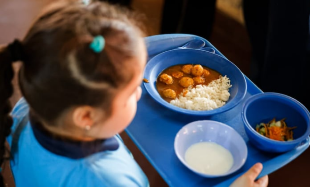 El documento será presentado oficialmente ante el Consejo Nacional de Alimentación Escolar. Foto: Archivo.