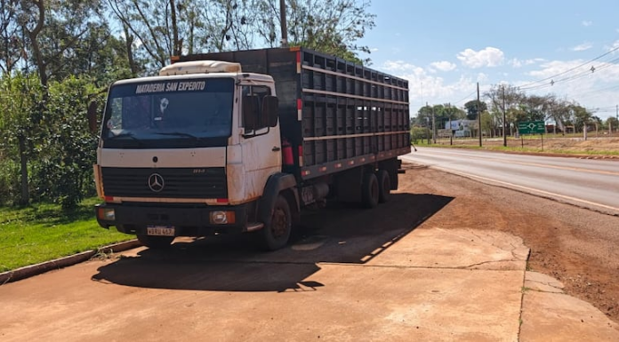El camión transportaba 46 cerdos. Foto: Gentileza.