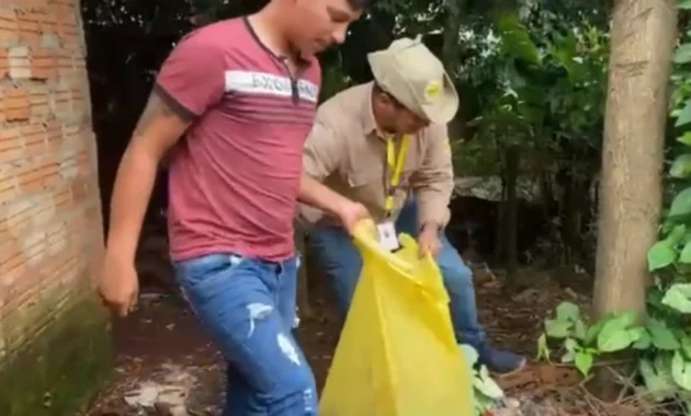 Eliminar. Criaderos son cruciales en la lucha contra el dengue.Foto: Archivo.