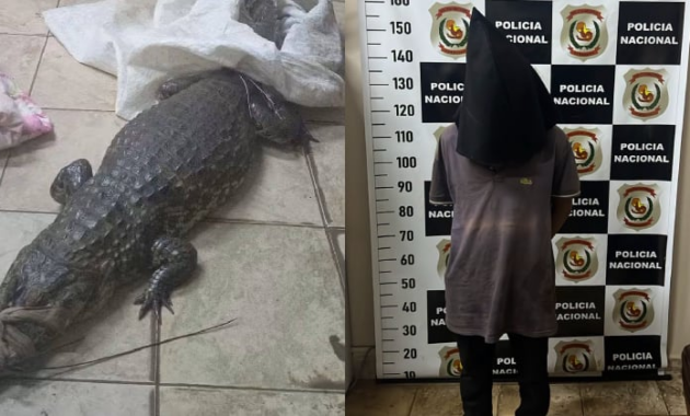 El hombre fue sorprendido con el yacaré a cuestas. Foto: Gentileza.